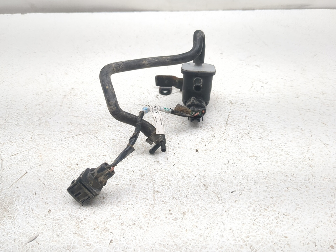 17-19 Triumph Tiger 800 XCX Front EVAP Purge Valve T1248990 - Sun