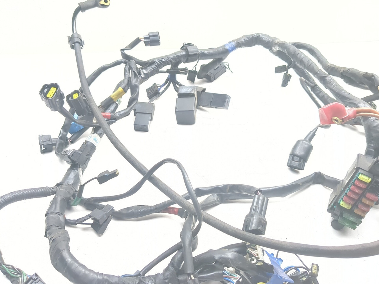 07-16 Triumph America Main Wiring Harness Loom T2507611 - Sun