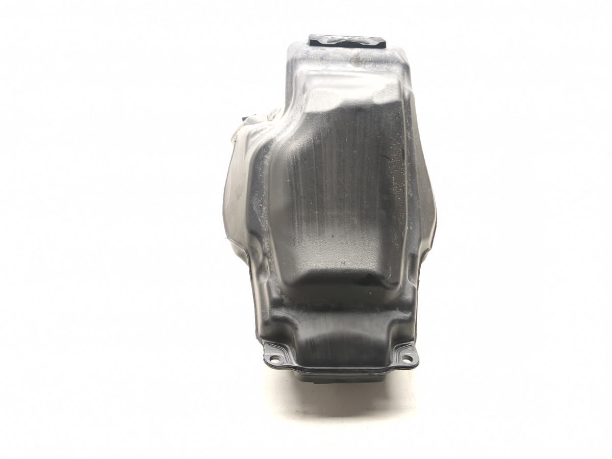 19-25 Indian FTR 1200 Gas Fuel Tank Petrol Reservoir 5455025 - Sun