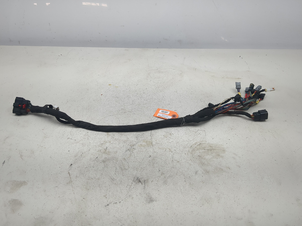 20-24 Harley Softail Standard FXST Rear Frame Sub Wire Wiring