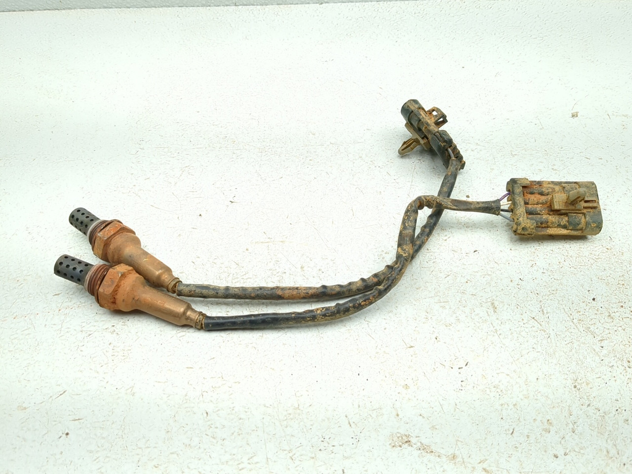 22-25 Aodes Odes Junglecross 800 Rear Oxygen Sensors Set