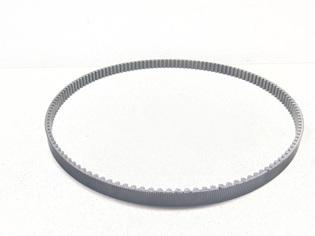 04-06 Harley Sportster XL1200C Rear Drive Belt 40571-04B - Sun