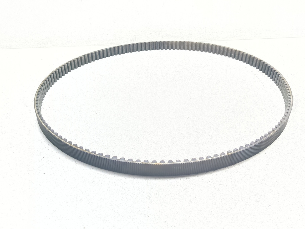 04-06 Harley Sportster XL1200C Rear Drive Belt 40571-04B - Sun