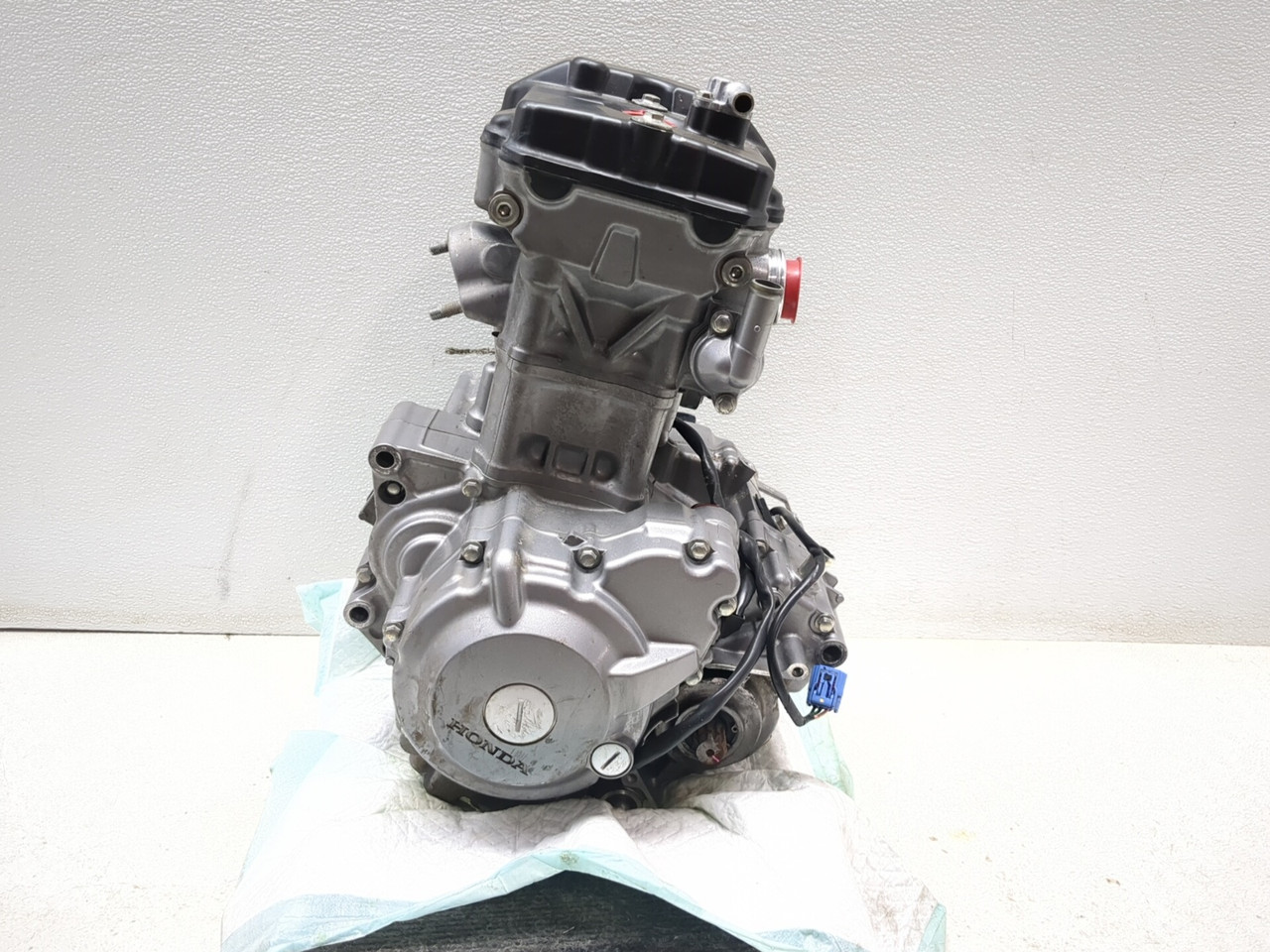 21-24 Honda CRF 300 Engine Motor GUARANTEED - Sun Coast Cycle