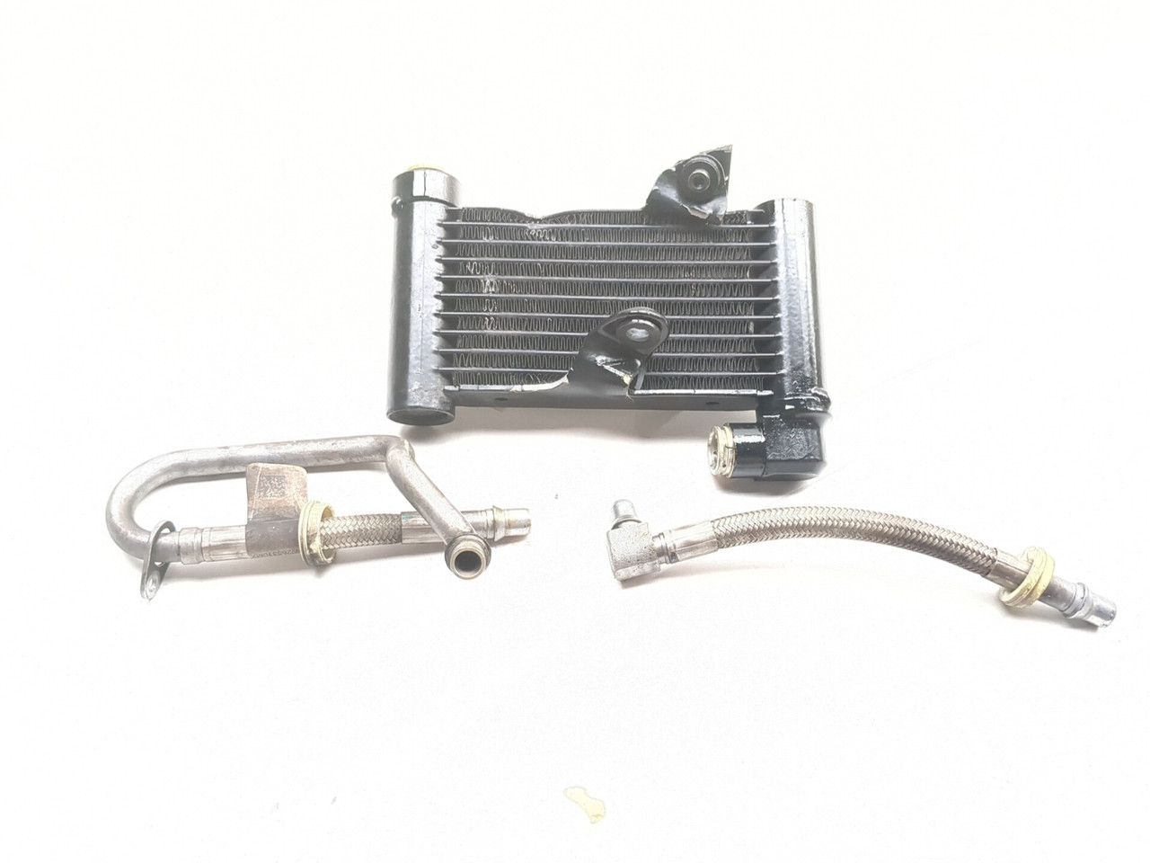 19-25 Indian FTR 1200 Oil Cooler Cooling w/ Lines Set 1241479