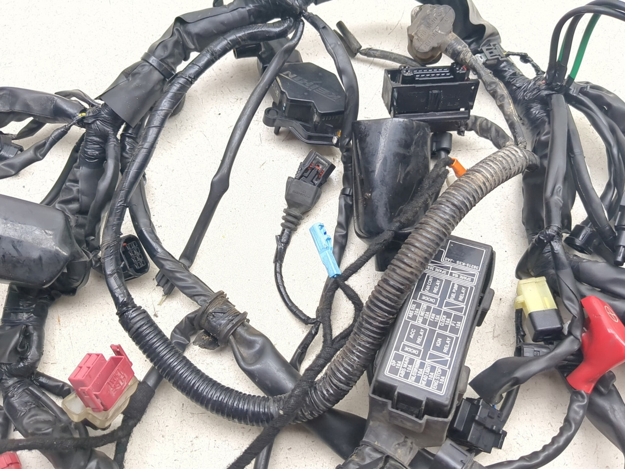 23-26 Honda SCL500 Main Wiring Harness - Sun Coast Cycle Sports