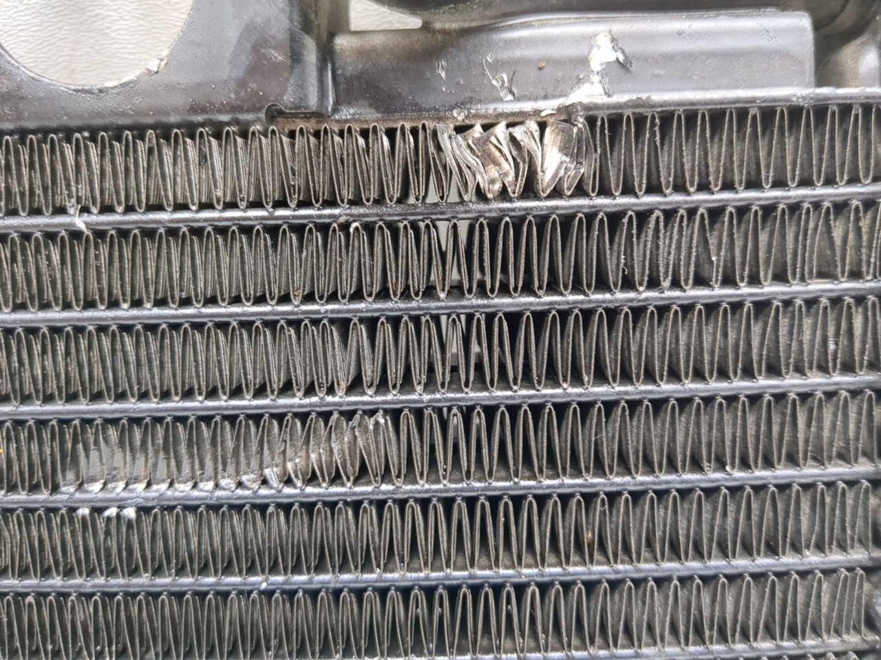 12-17 Harley NIGHT ROD VRSCDX Front Radiator Cooler 26722-04 - Sun