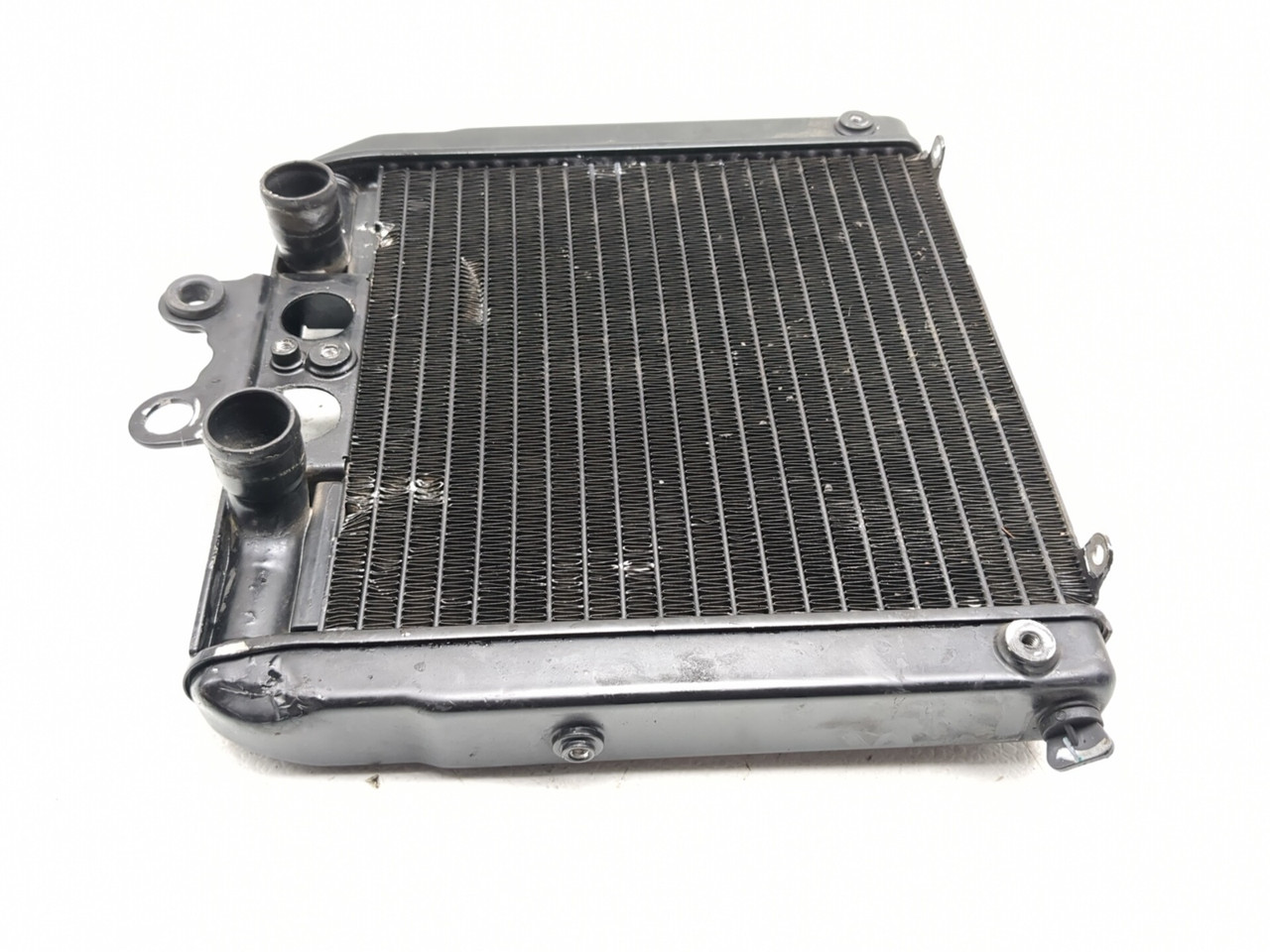 12-17 Harley NIGHT ROD VRSCDX Front Radiator Cooler 26722-04 - Sun