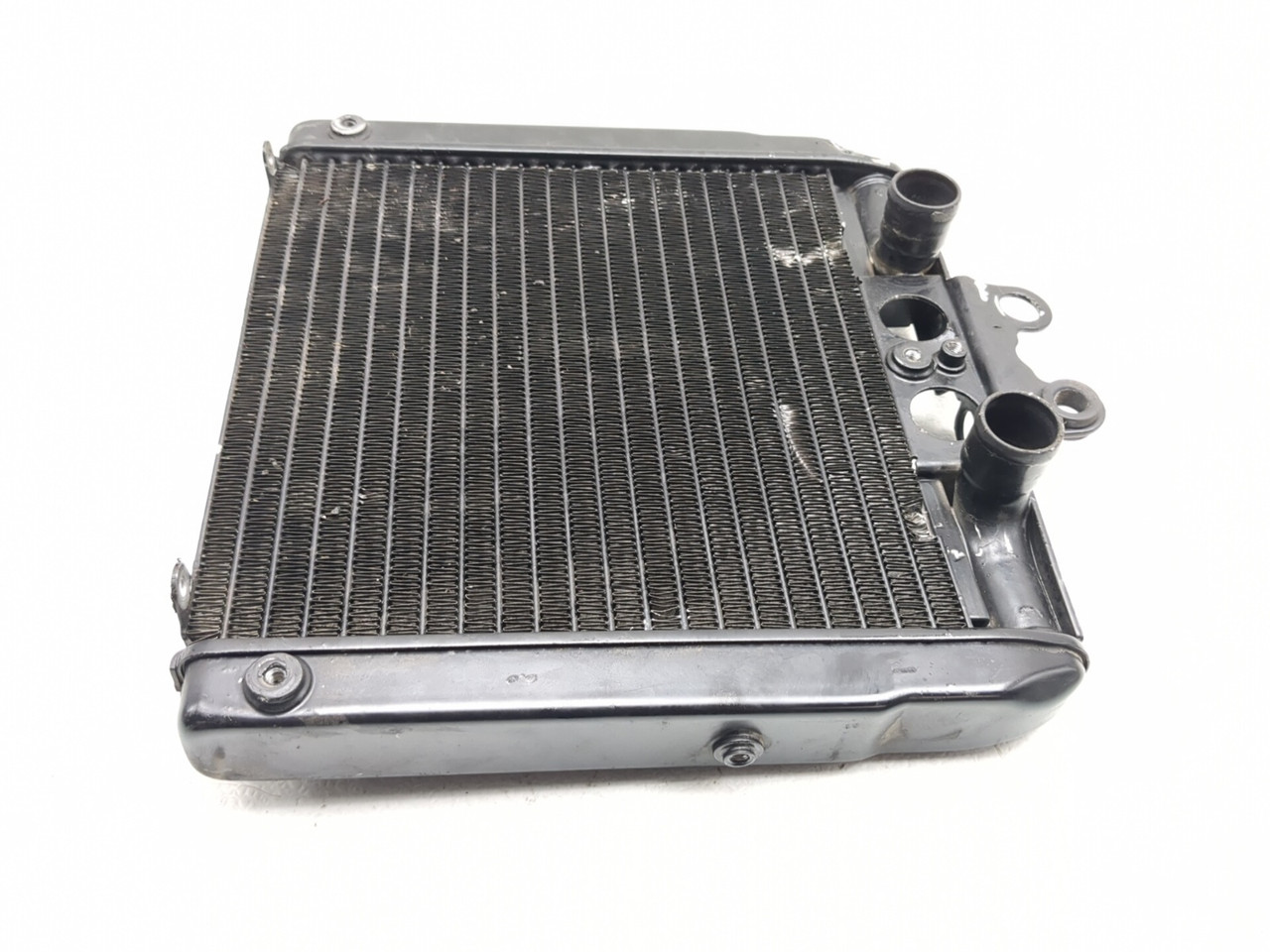 12-17 Harley NIGHT ROD VRSCDX Front Radiator Cooler 26722-04 - Sun