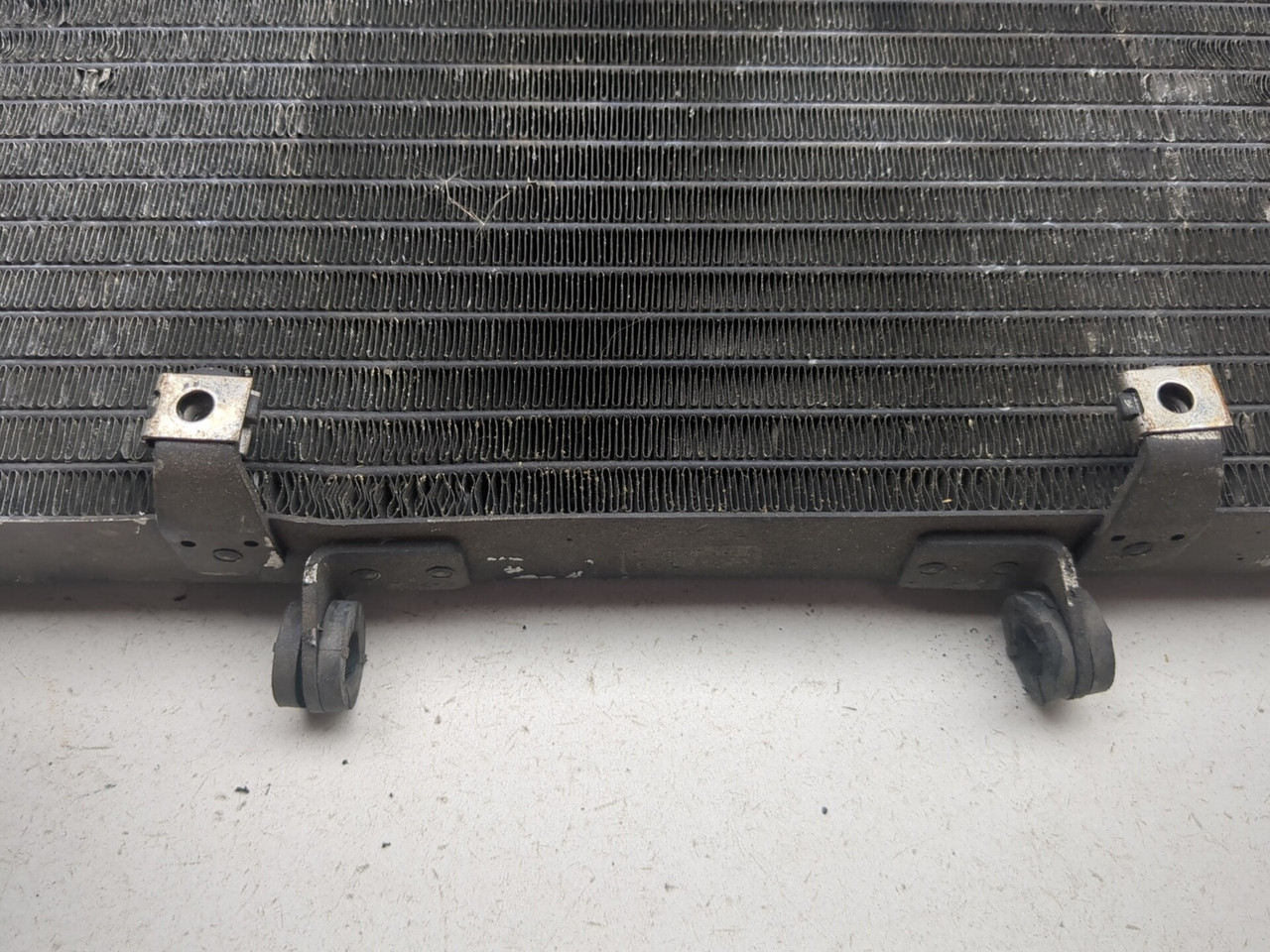 97-03 Honda CBR1100XX Blackbird CBR1100 Front Radiator Cooler
