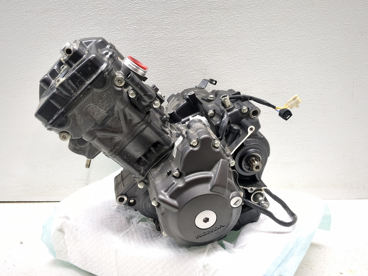 22-25 Honda CB300F Engine Motor GUARANTEED - Sun Coast Cycle
