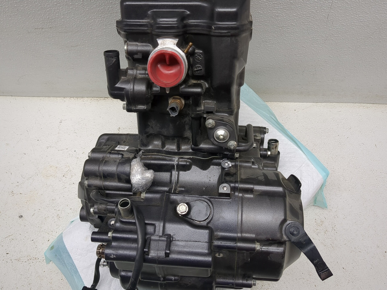22-25 Honda CB300F Engine Motor GUARANTEED - Sun Coast Cycle