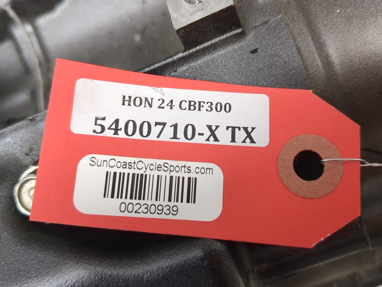 22-25 Honda CB300F Engine Motor GUARANTEED - Sun Coast Cycle