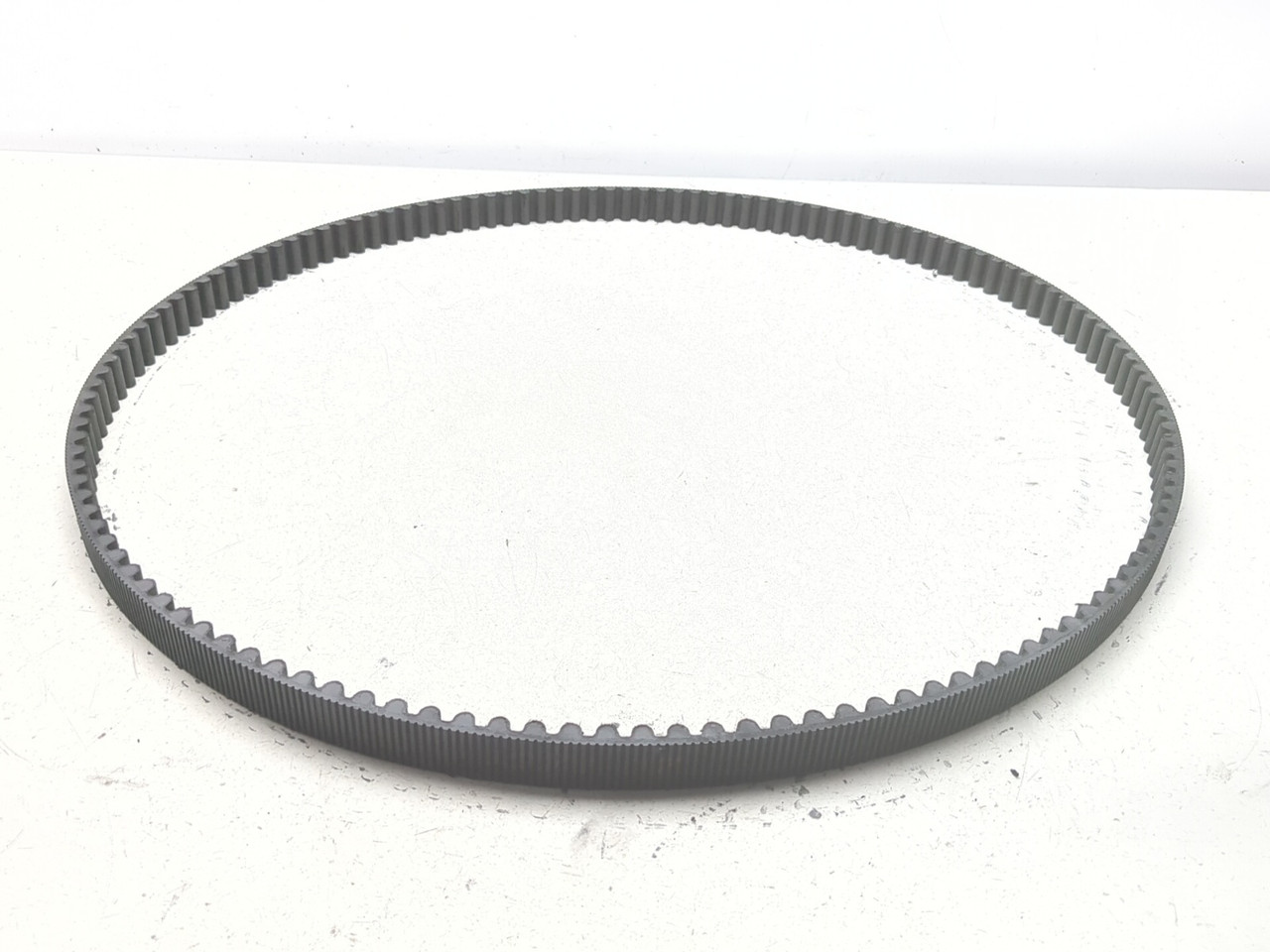 04-10 Harley-Davidson Sportster XL883C Custom Rear Drive Belt