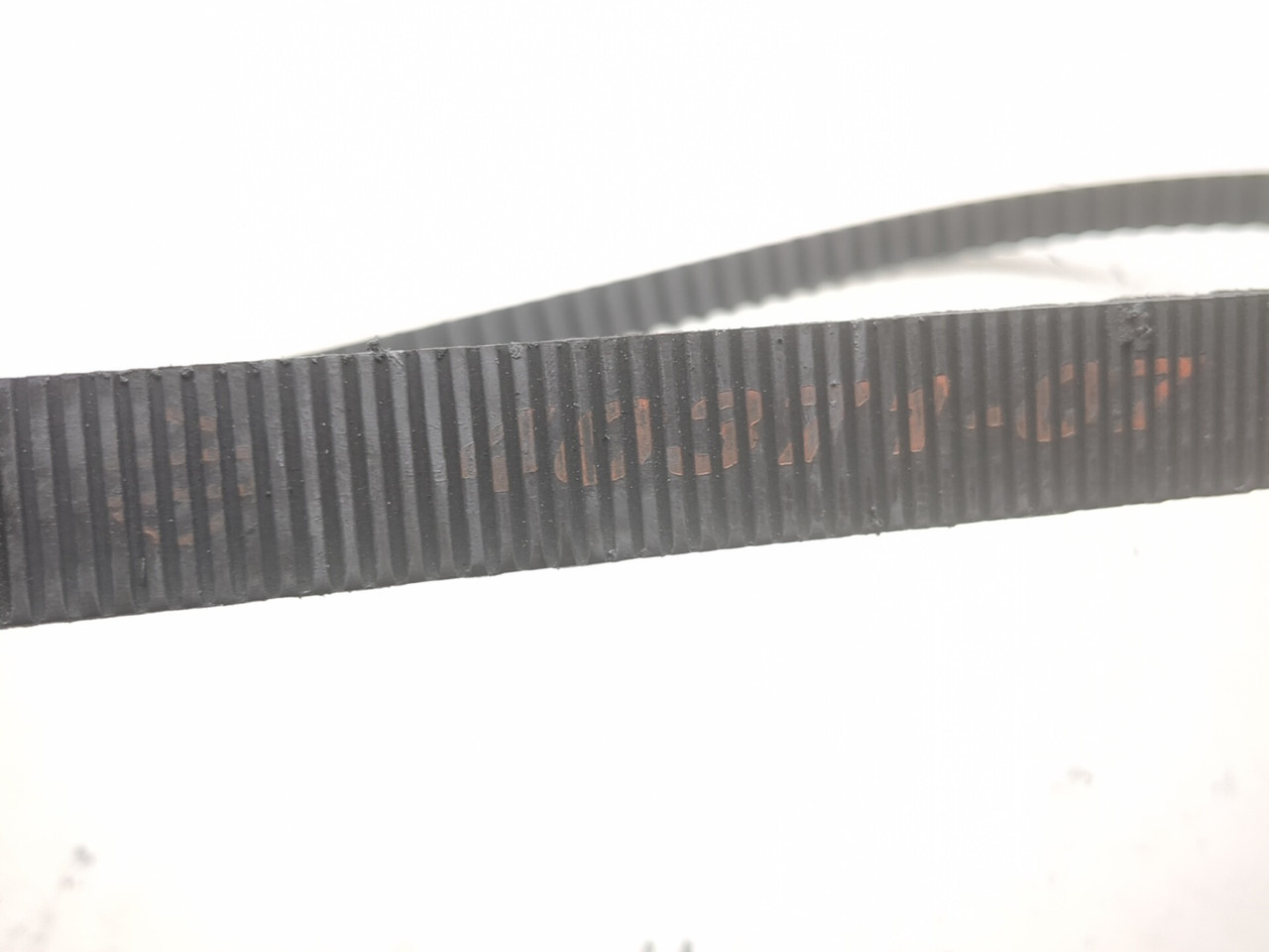 04-10 Harley-Davidson Sportster XL883C Custom Rear Drive Belt