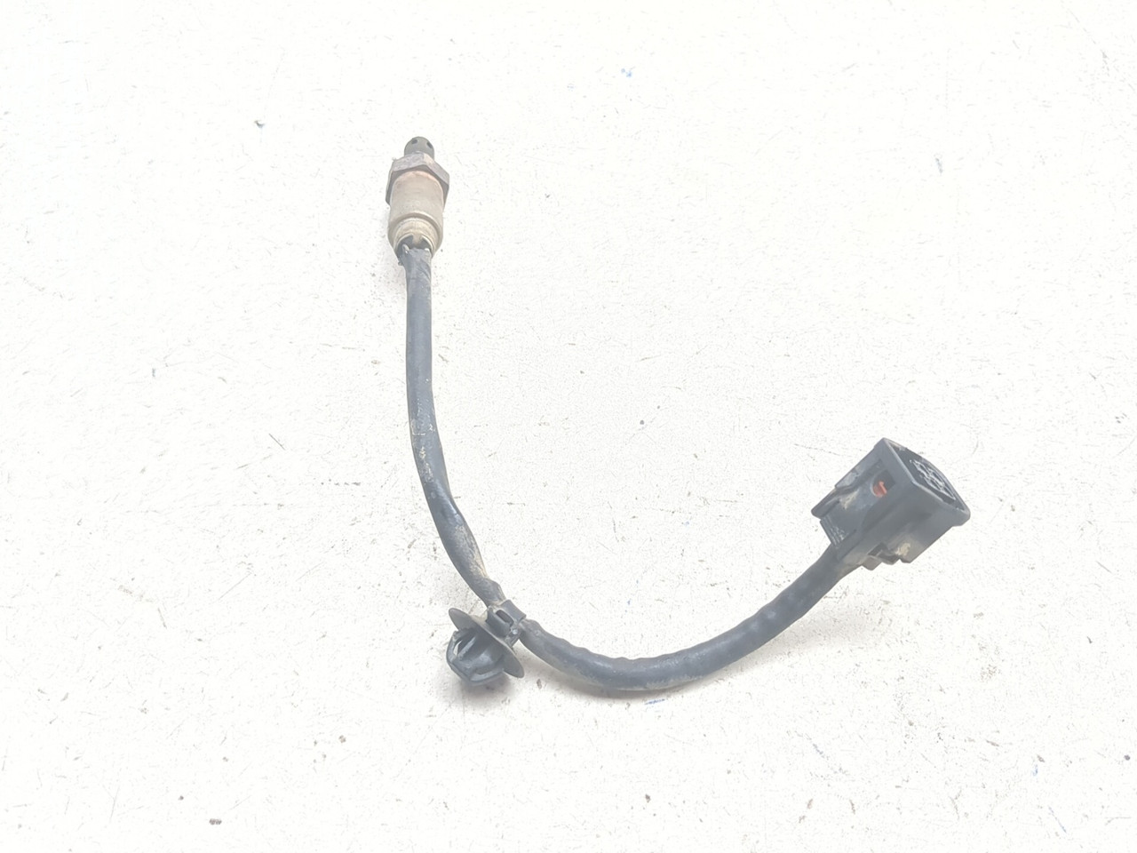 16-18 Honda CRF1000 Africa Twin Front O2 Oxygen Sensor - Sun Coast