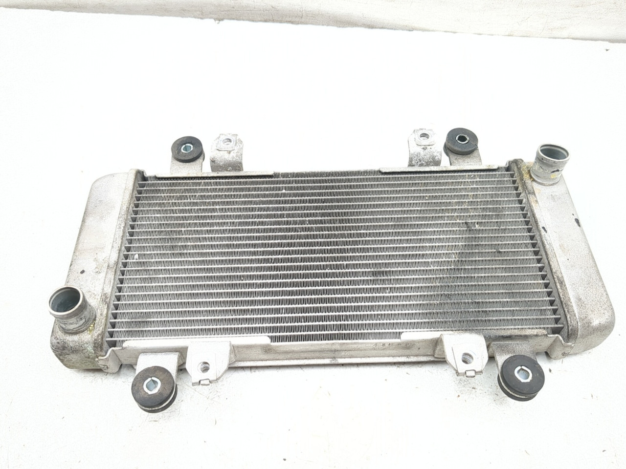 13-17 Kawasaki Ninja 300 EX300B Front Radiator Cooler 39060-0710