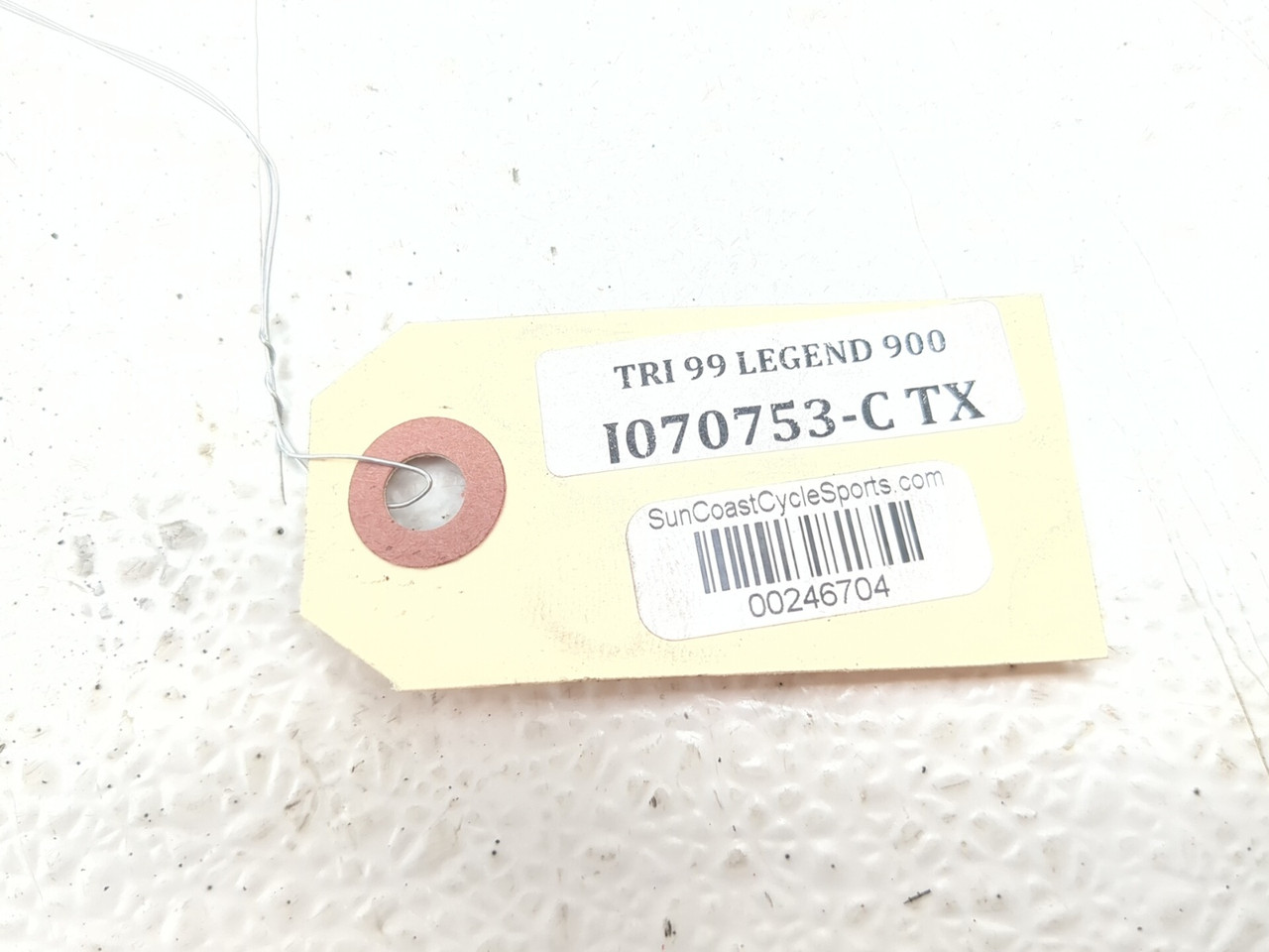 98-01 Triumph Legend TT 900 Rear Swingarm - Sun Coast Cycle Sports