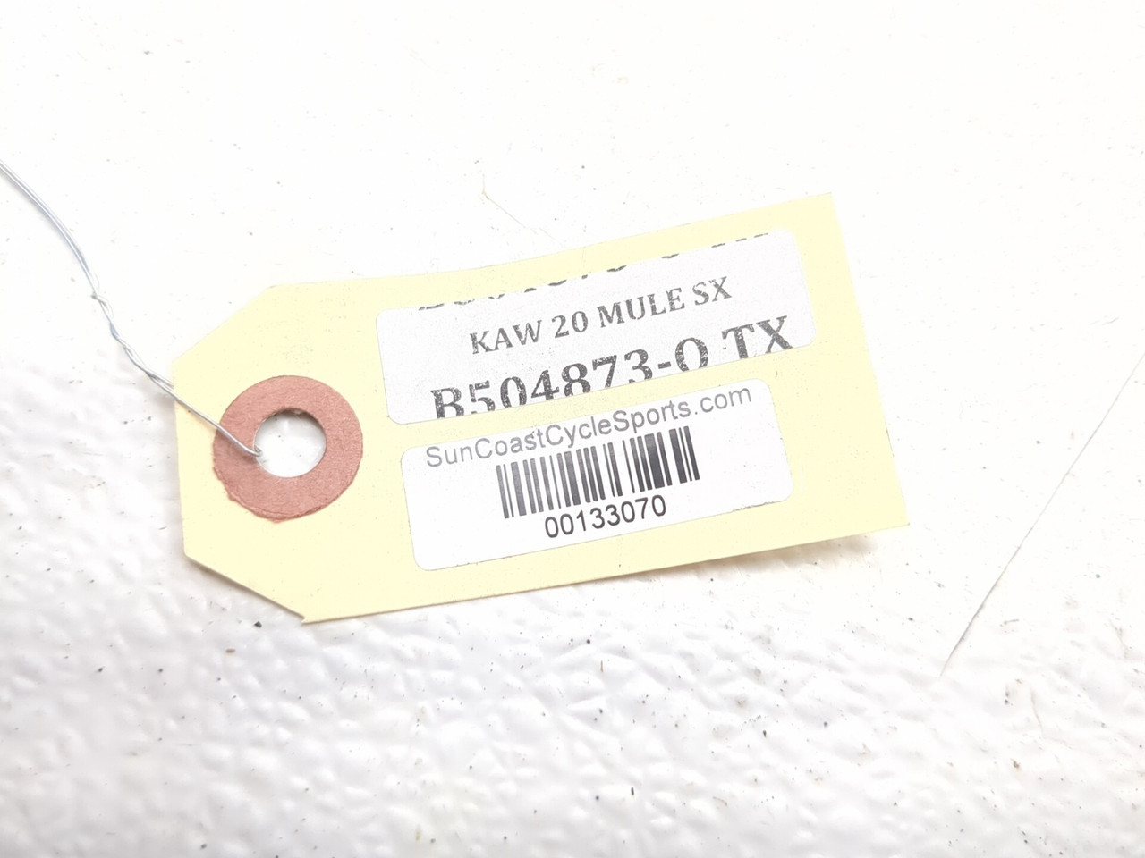 17-25 Kawasaki Mule SX 4X2 Charcoal Canister 16164-0013 - Sun