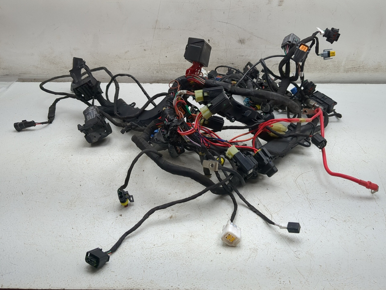 20-25 Ducati Panigale V2 Main Wiring Harness Wire Loom 5101L341F