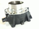 15 Ducati Monster 821 Front Engine Motor Cylinder Jug Barrels 3.160.1A TRSH DV