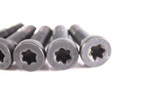 09 BMW K1300GT Torx Bolts Hardware
