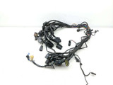 18 Triumph Street Cup Main Wiring Wire Harness Loom