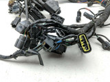 18 Triumph Street Cup Main Wiring Wire Harness Loom
