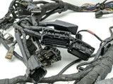 18 Triumph Street Cup Main Wiring Wire Harness Loom