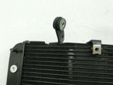 04 05 06 Yamaha YZF R1 Engine Motor Radiator