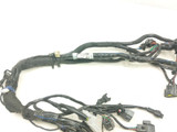 21-24 Triumph Trident 660 Main Wiring Wire Harness Loom