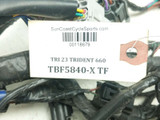 21-24 Triumph Trident 660 Main Wiring Wire Harness Loom
