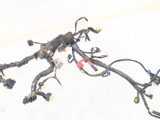 09-20 Yamaha Vmax 1700 VMX17 Main Wiring Harness 2S3-82590-00-00 Wire Loom
