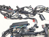 18-24 Honda GL1800 Goldwing 1800 Main Wiring Harness Wire Loom Electrical