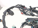 18-24 Honda GL1800 Goldwing 1800 Main Wiring Harness Wire Loom Electrical