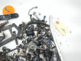 17-19 Triumph Tiger 800 XCX Engine & Chassis Hardware Bolt Kit