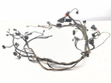 18-24 BMW F850GS GS Main Wiring Harness Wire Loom Electrical 1622416