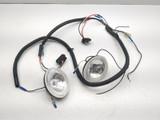 00-11 Polaris Gem Car Cart e2 e4 e6 e825 Front Left & Right Headlights & Harness