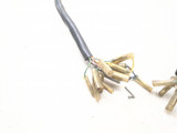 76 Honda CB125 Main Wiring Wire Harness Loom