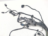 20-24 Harley Softail Standard FXST Main Wiring Wire Harness Loom