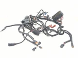 02-06 Harley-Davidson VROD VRSCA Main Wiring Harness 70125-05