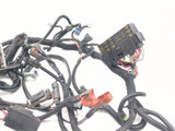 02-06 Harley-Davidson VROD VRSCA Main Wiring Harness 70125-05
