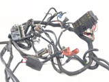 02-06 Harley-Davidson VROD VRSCA Main Wiring Harness 70125-05
