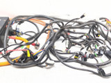 22-24 Kandi USA Cowboy E10K Harness & Control Box Main Wiring Harness Wire Loom