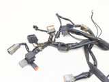 99-05 Harley Davidson FXDWG Dyna Wide Glide Main Wiring Harness 69631-03