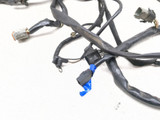 99-05 Harley Davidson FXDWG Dyna Wide Glide Main Wiring Harness 69631-03