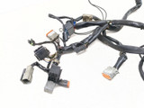 99-05 Harley Davidson FXDWG Dyna Wide Glide Main Wiring Harness 69631-03