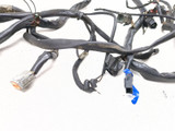 99-05 Harley Davidson FXDWG Dyna Wide Glide Main Wiring Harness 69631-03