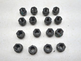 21-24 Segway Fugleman UT10 E Lug Nut Set T08000011002