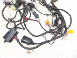 18-24 Linhai M750L Main Wiring Harness Wire Loom Electrical 72215